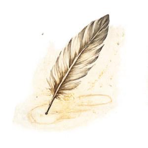 A glowing feather floating through warm light, representing words that travel gently from heart to heart.